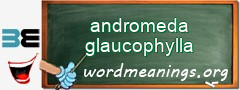 WordMeaning blackboard for andromeda glaucophylla